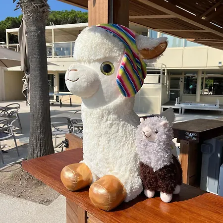 Kaliope & By Oustal Del Mar Aparthotel